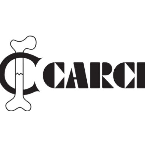 logo-carci.png